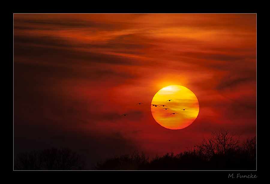 Sonnenuntergang am Lippesee