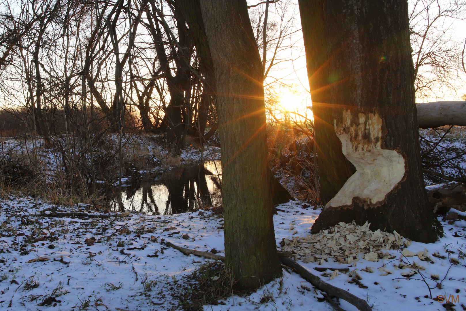 Sonnenuntergang am "Löbauer Wasser"