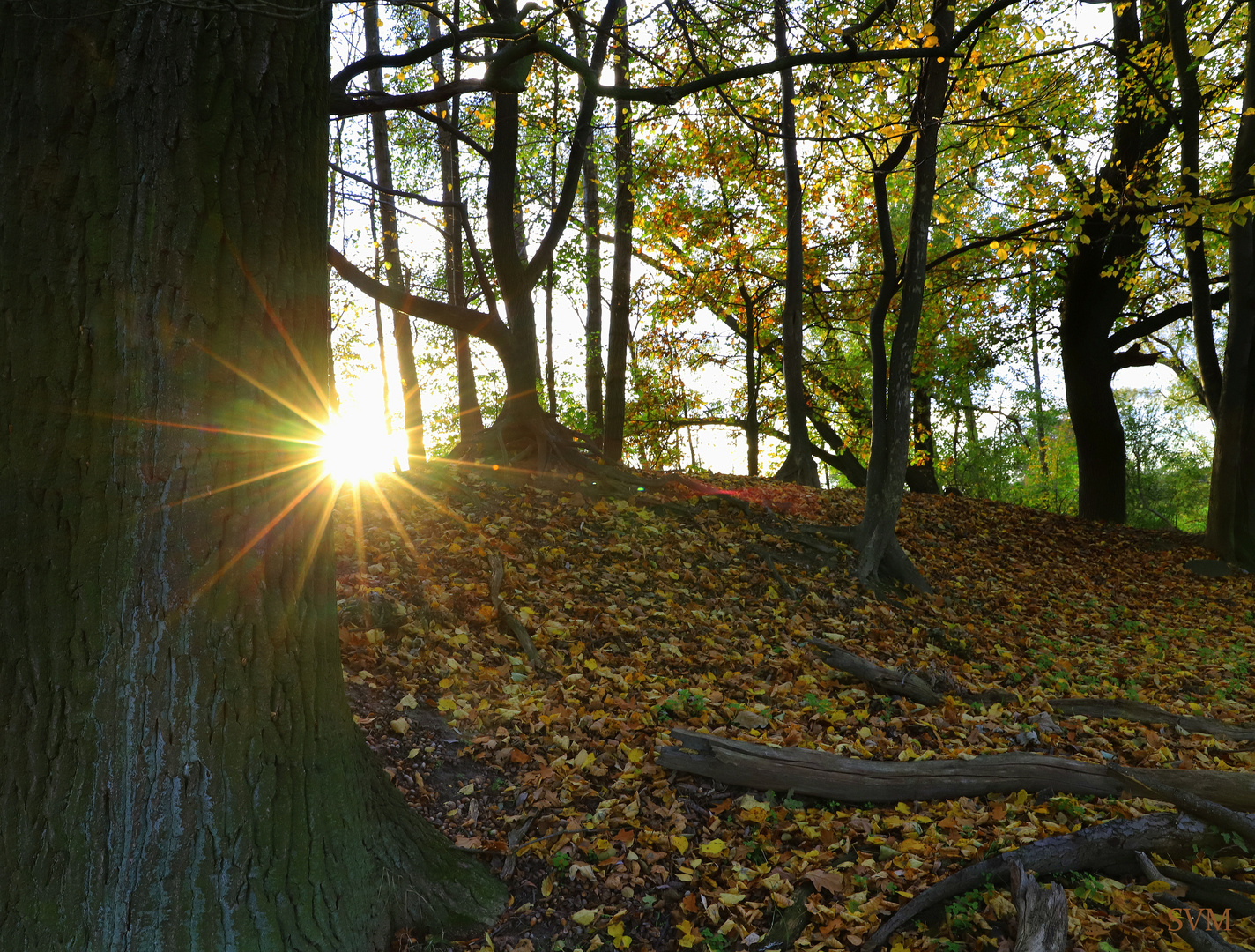 Sonnenuntergang am "Löbauer Wasser"