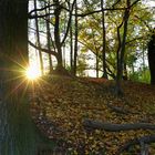 Sonnenuntergang am "Löbauer Wasser"