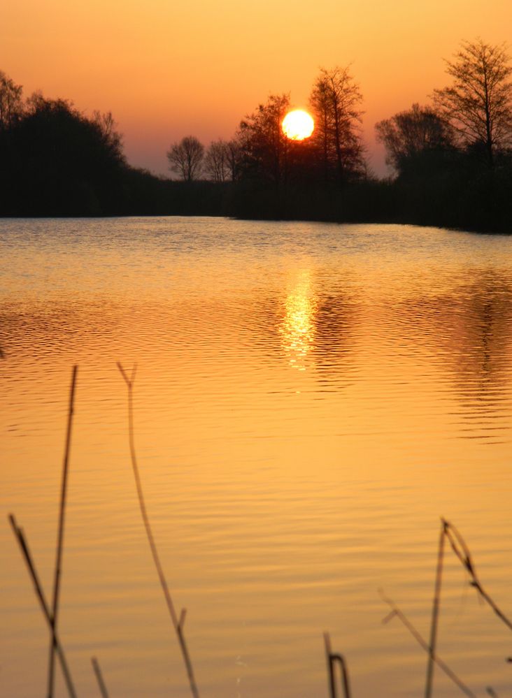 Sonnenuntergang am Lüscher Polder