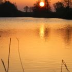 Sonnenuntergang am Lüscher Polder