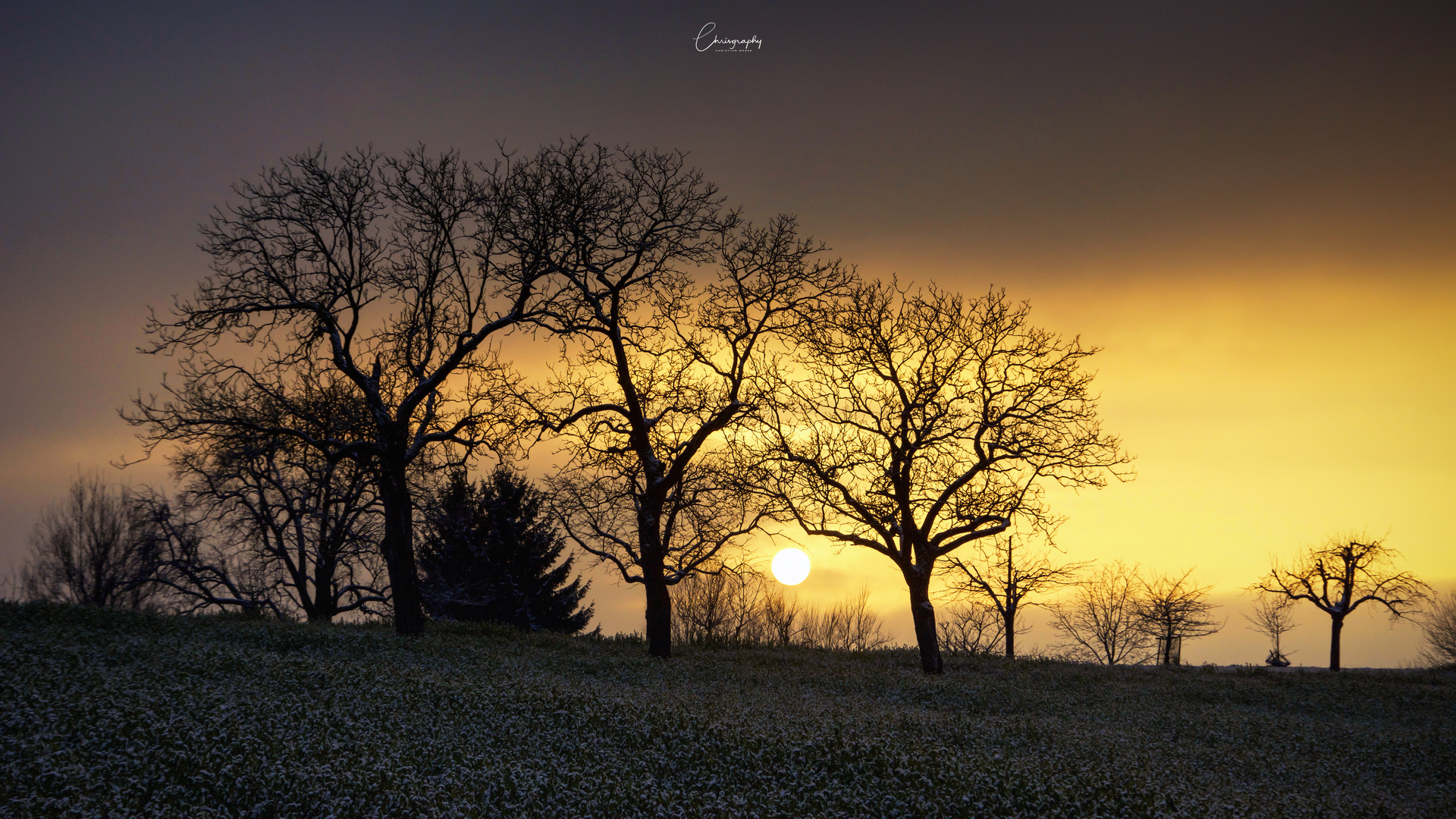 Sonnenuntergang am Maienbühl