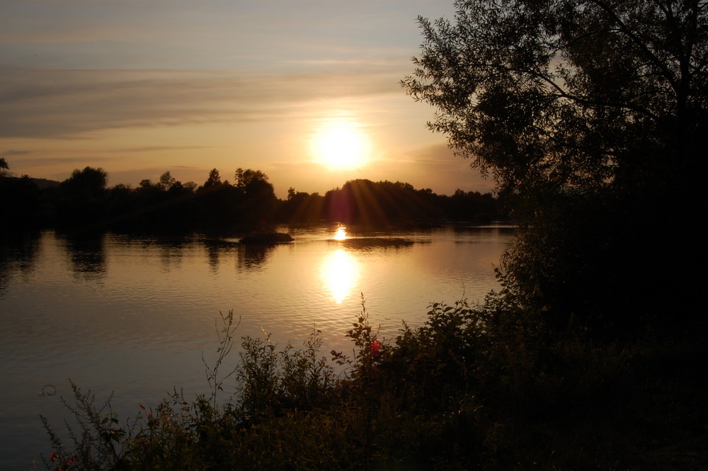 Sonnenuntergang am Main