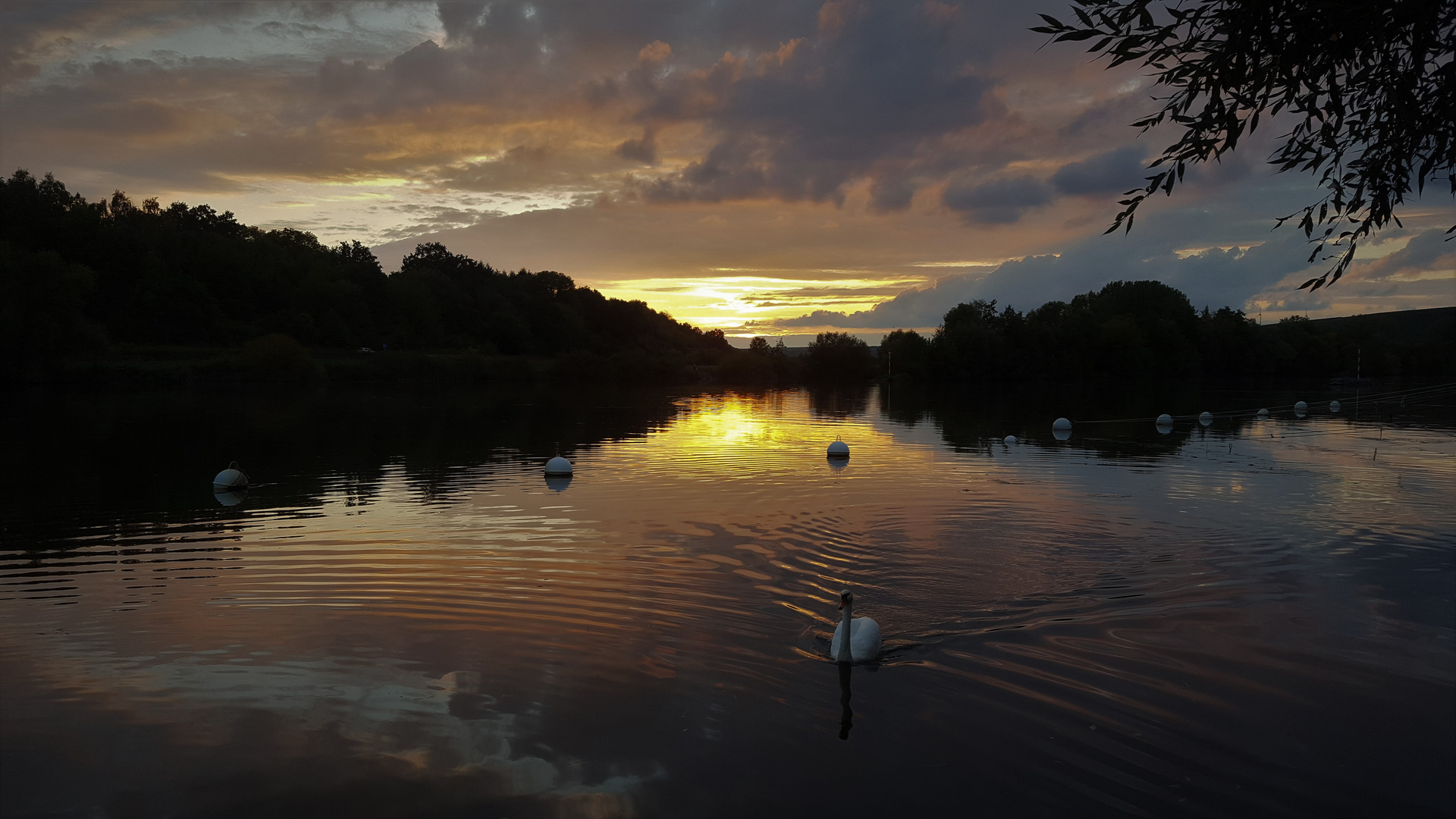 Sonnenuntergang am Main