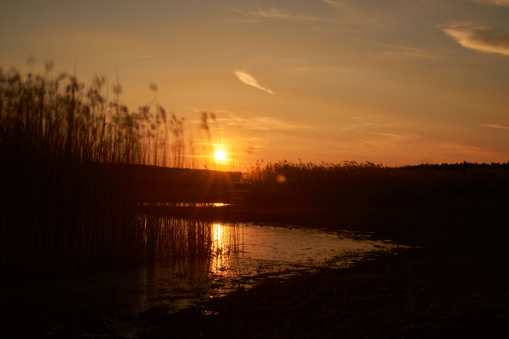 Sonnenuntergang am Main