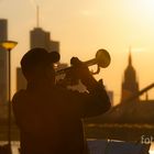 Sonnenuntergang am Mainufer