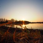 Sonnenuntergang am Maissee