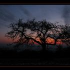 Sonnenuntergang am Maiwieserberg