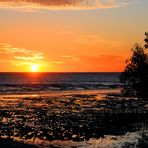 Sonnenuntergang am Mangrovenstrand