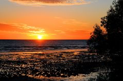 Sonnenuntergang am Mangrovenstrand