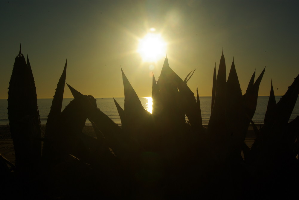 Sonnenuntergang am Manhatten Beach in Los Angeles!