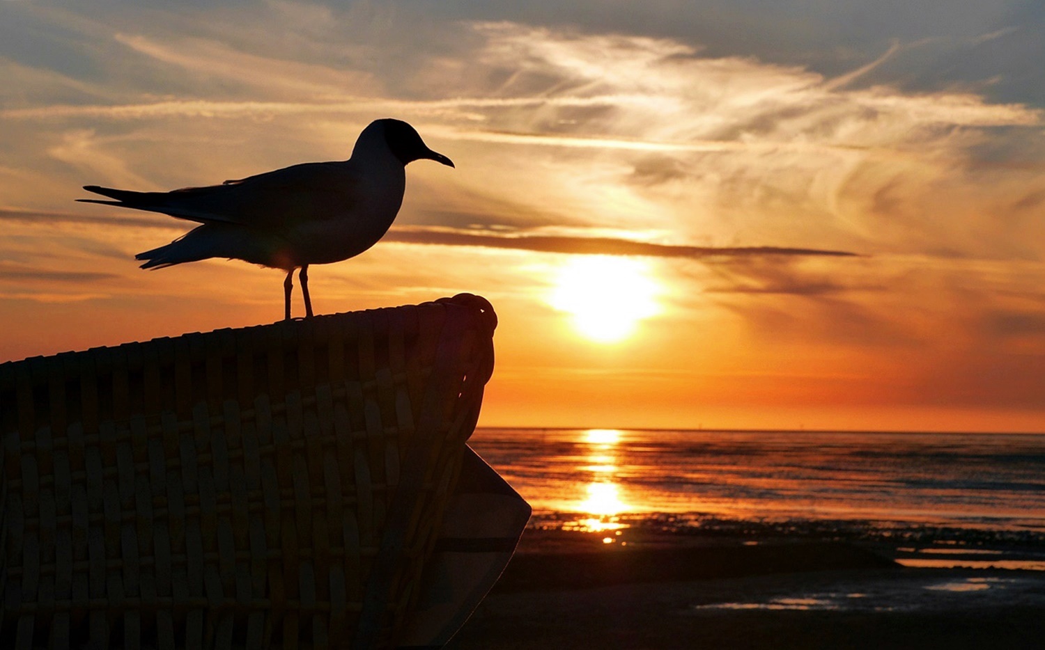 Sonnenuntergang am Meer