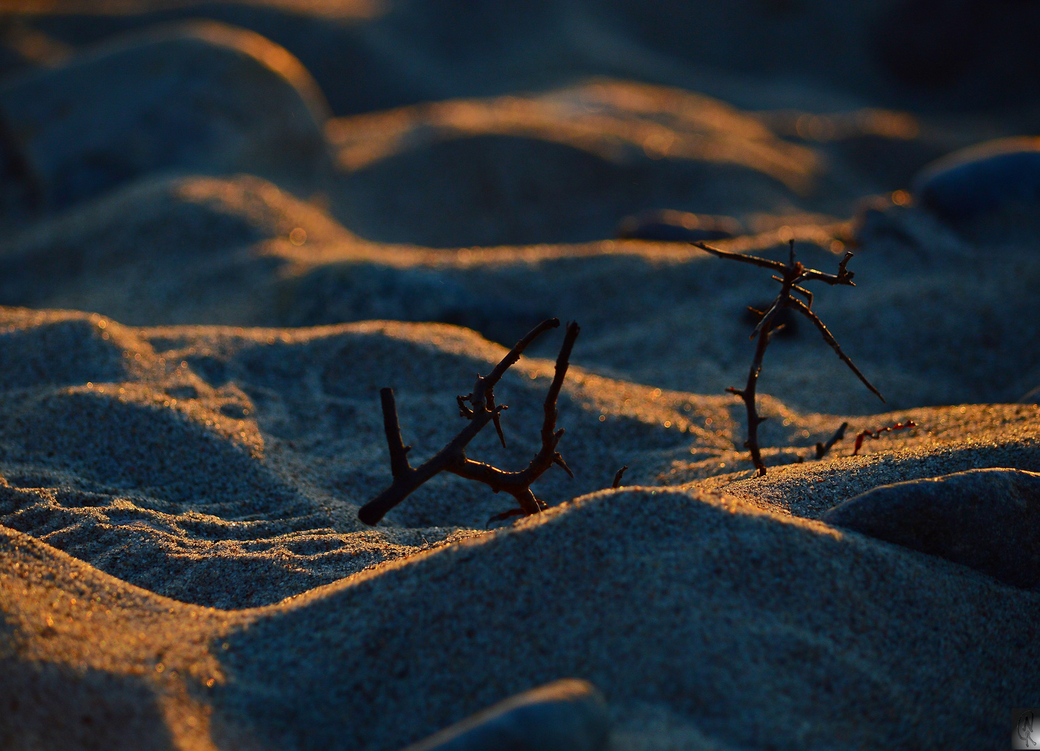 Sonnenuntergang am Meer