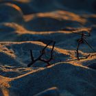 Sonnenuntergang am Meer