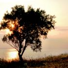 Sonnenuntergang am Meer