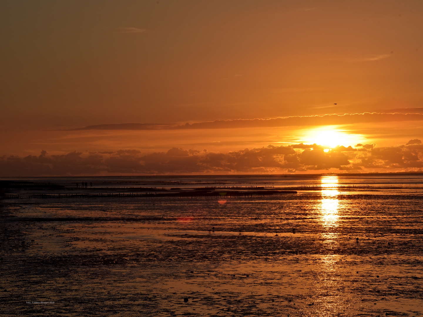 Sonnenuntergang am Meer