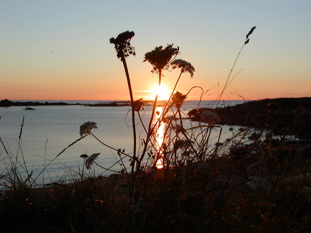 Sonnenuntergang am Meer