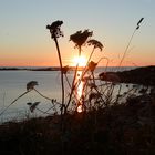 Sonnenuntergang am Meer