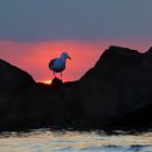 Sonnenuntergang am Meer