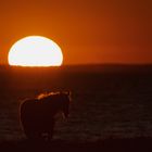 Sonnenuntergang am Meer