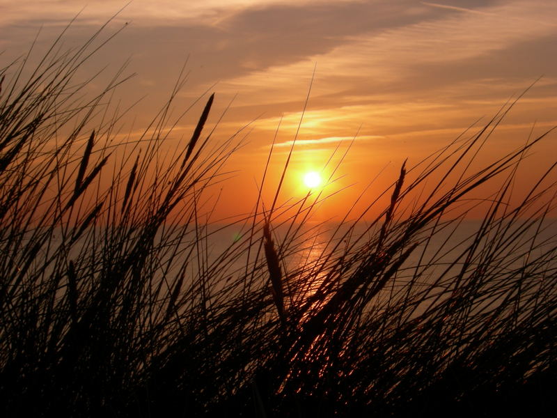 Sonnenuntergang am Meer ( Dänemark September 2006)