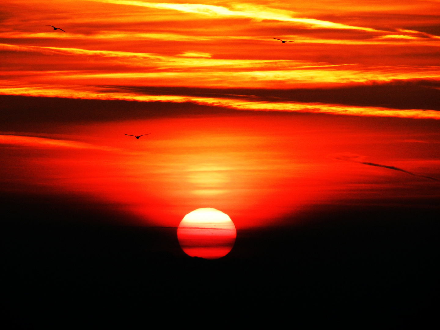 Sonnenuntergang am Meer in Holland