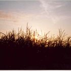 Sonnenuntergang am Meer in Kinsale - mal anders