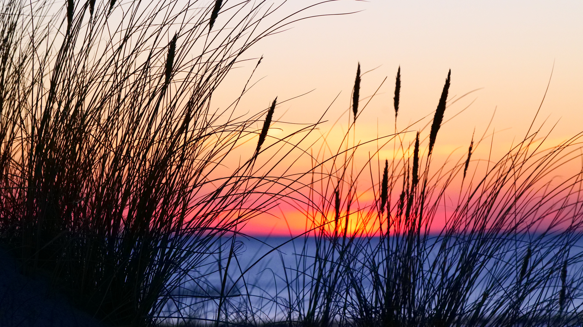 Sonnenuntergang am Meer (Ostsee) 1
