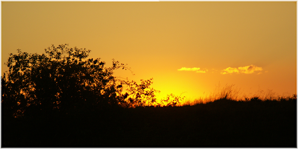 Sonnenuntergang am MeKo