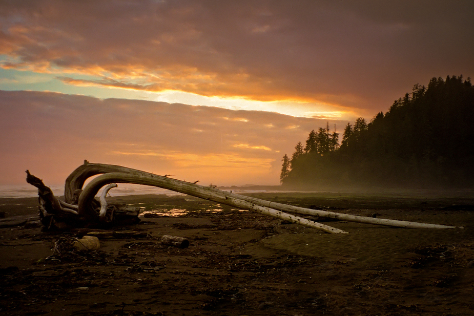 Sonnenuntergang am Michigan Creek - West Coast Trail - Vancouver Island - Kanada