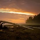 Sonnenuntergang am Michigan Creek - West Coast Trail - Vancouver Island - Kanada