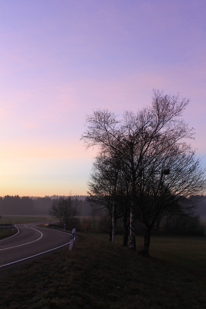 Sonnenuntergang am Moor