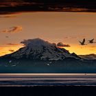 Sonnenuntergang am Mount Foraker