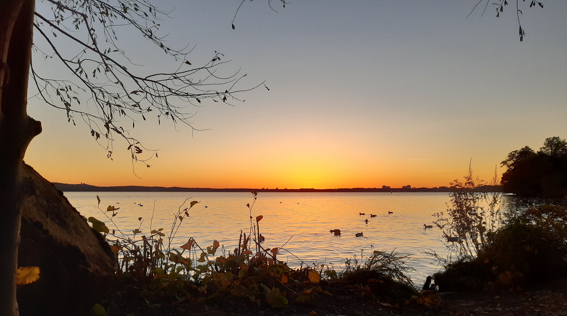 Sonnenuntergang am Müggelsee