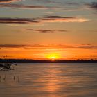 Sonnenuntergang am Müggelsee