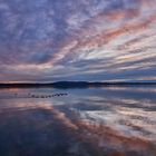 Sonnenuntergang am Müggelsee