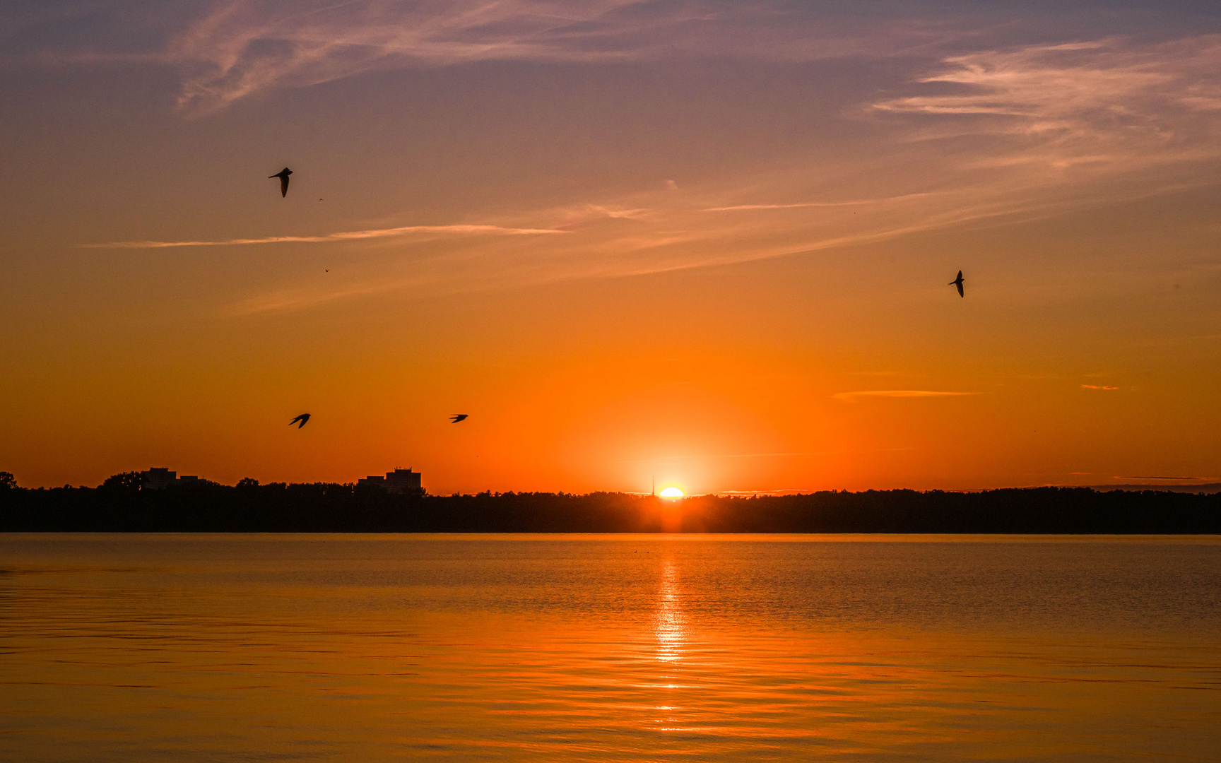 Sonnenuntergang am Müggelsee mit Schwalben