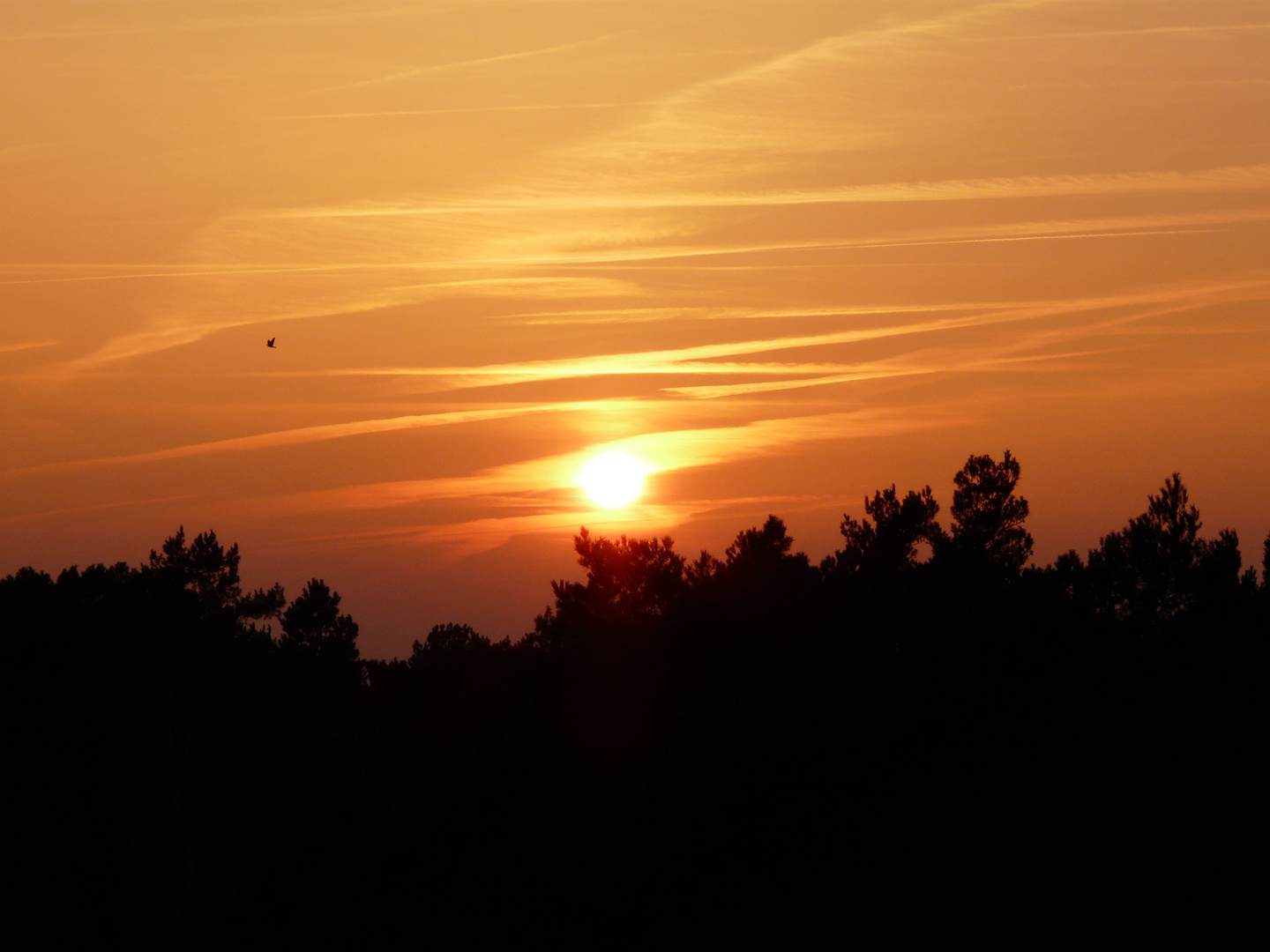 Sonnenuntergang am Müritzsee