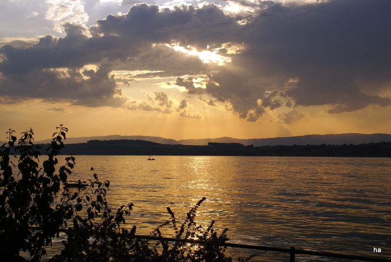 Sonnenuntergang am Murtensee 1