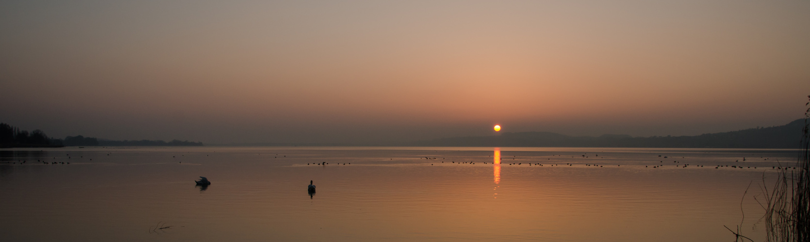 Sonnenuntergang am Murtensee