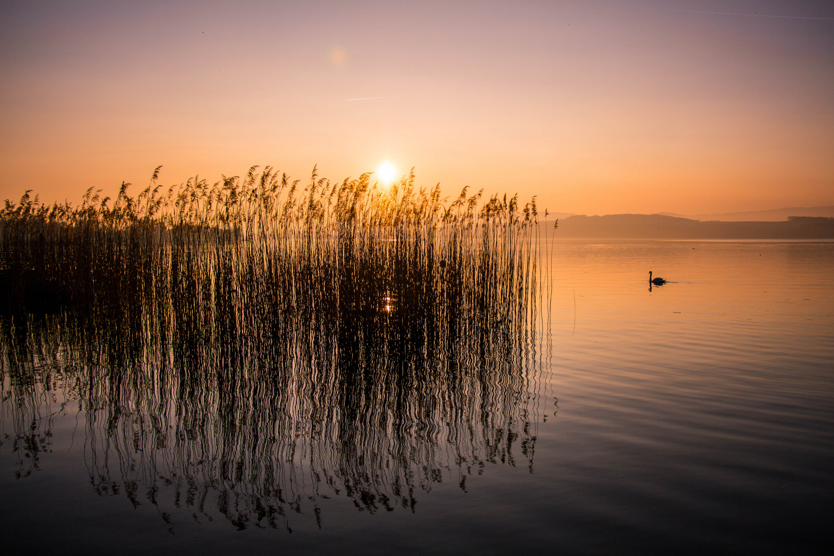 Sonnenuntergang am Murtensee