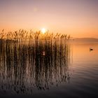 Sonnenuntergang am Murtensee