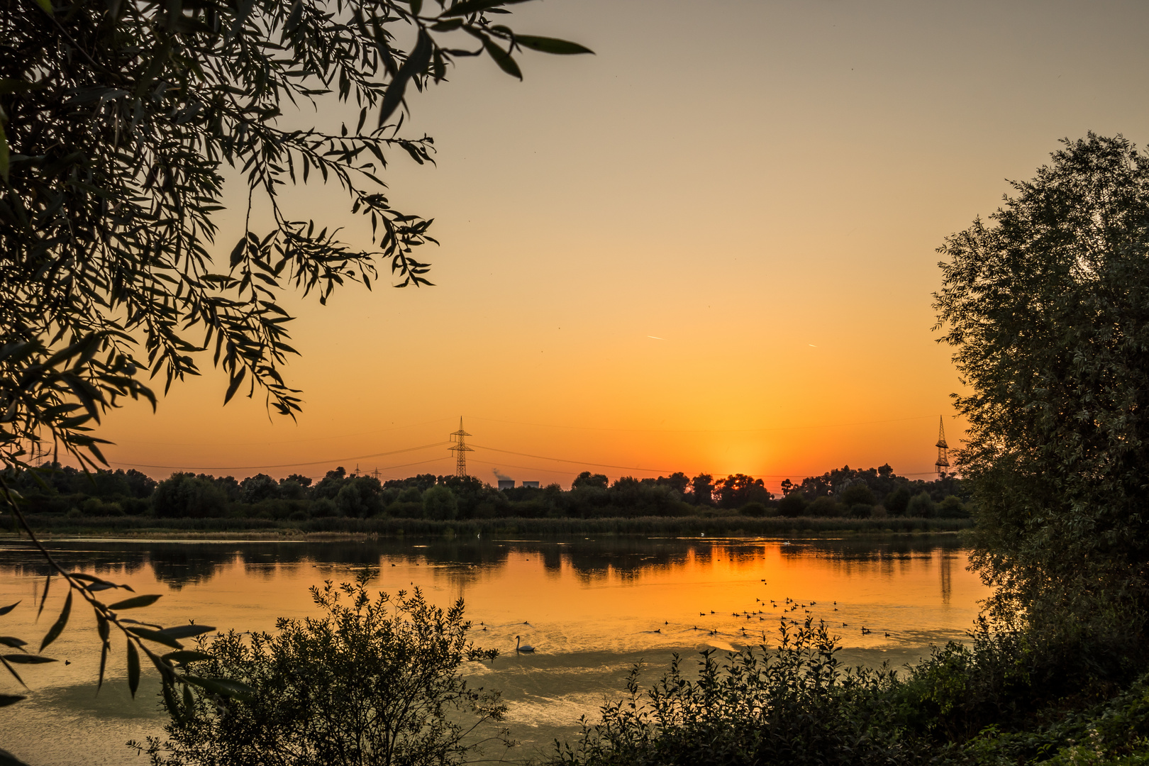 Sonnenuntergang am Naturschutzgebiet Oberhausen-1