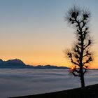 Sonnenuntergang am Nebelmeer