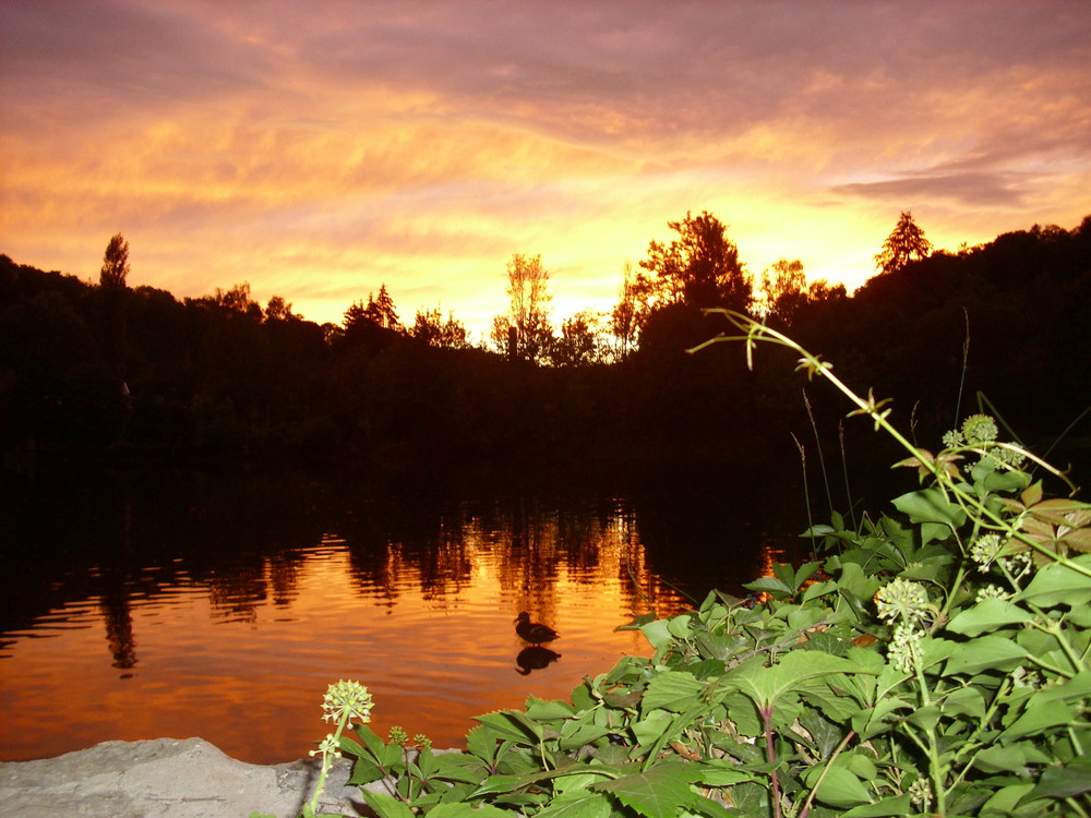 Sonnenuntergang am Neckar