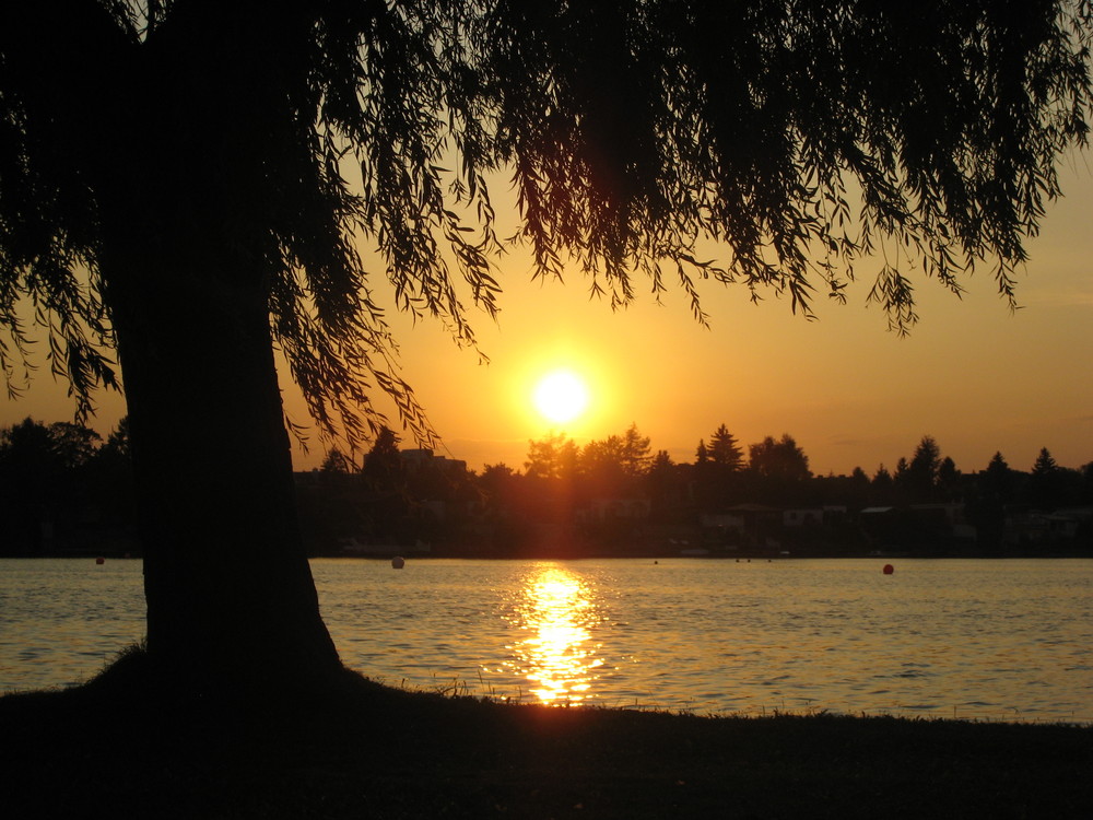 Sonnenuntergang am Neufeldersee