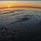 Sonnenuntergang am Neuharlinger Deich