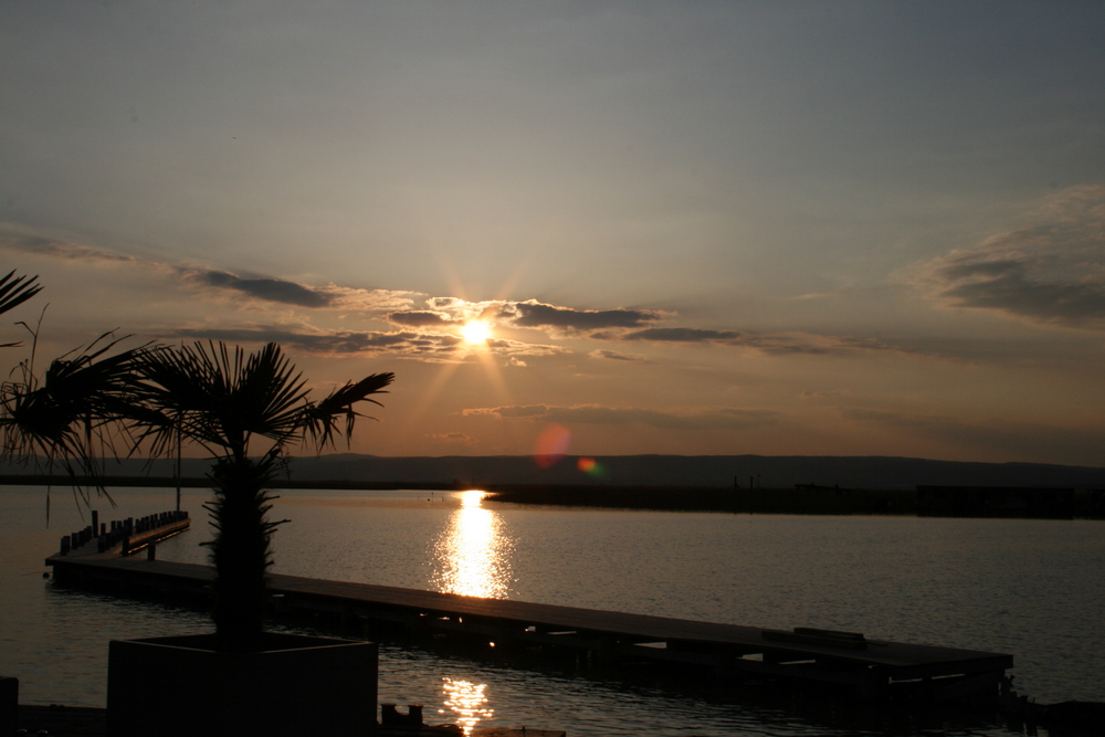 Sonnenuntergang am Neusiedlersee