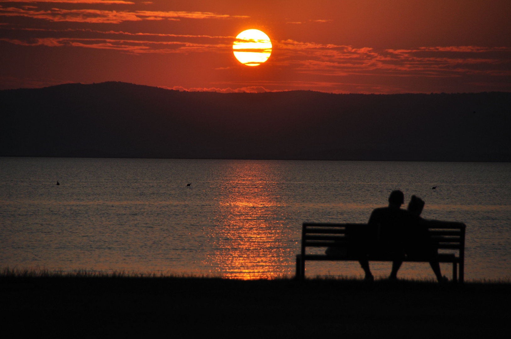 Sonnenuntergang am Neusiedlersee